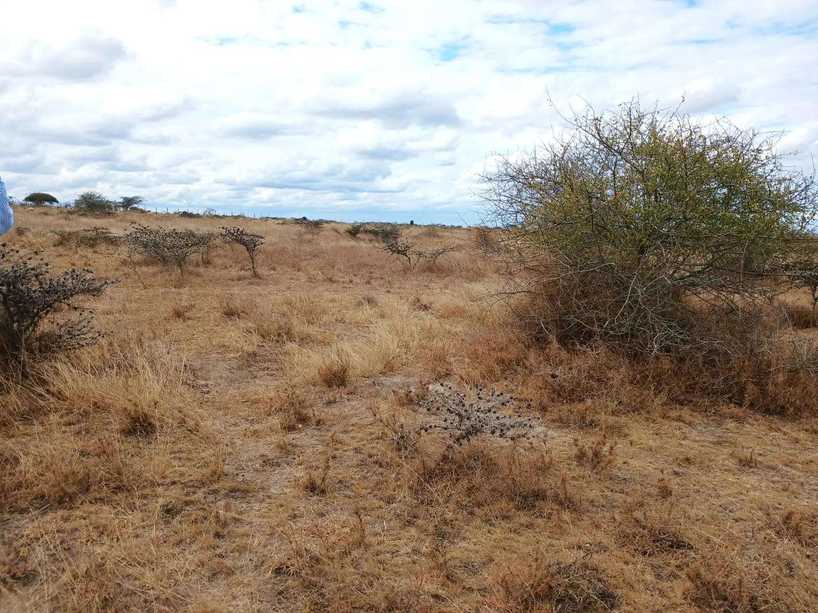 0.25 Prime Land for sale in Kisaju