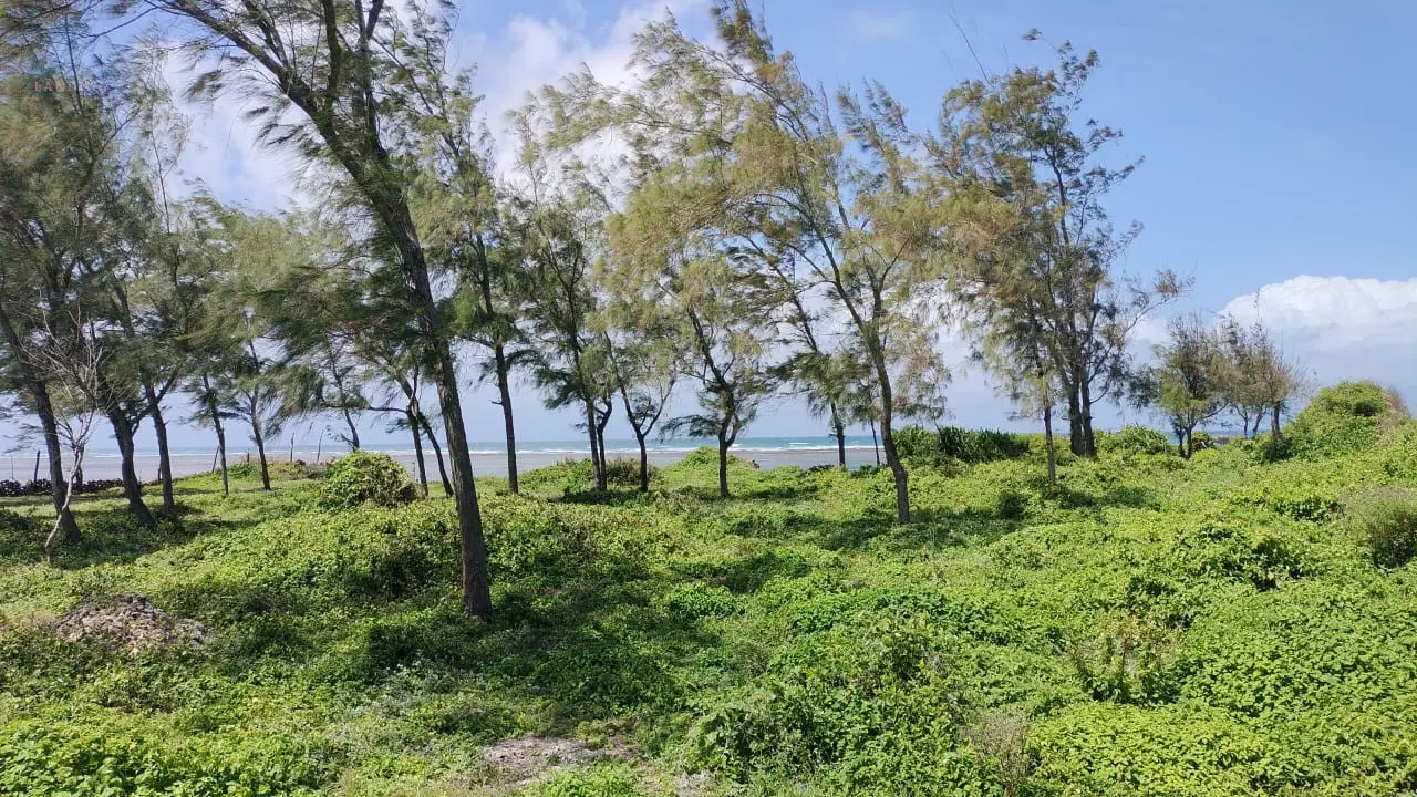 Prime Beachfront Property in Watamu – 5 Acres for Sale | Exceptional Investment Opportunity