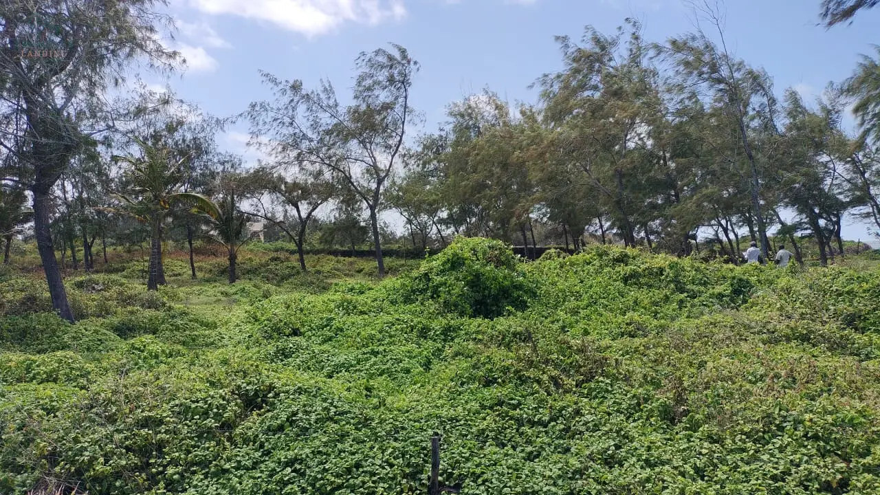 Prime Beachfront Property in Watamu – 5 Acres for Sale | Exceptional Investment Opportunity