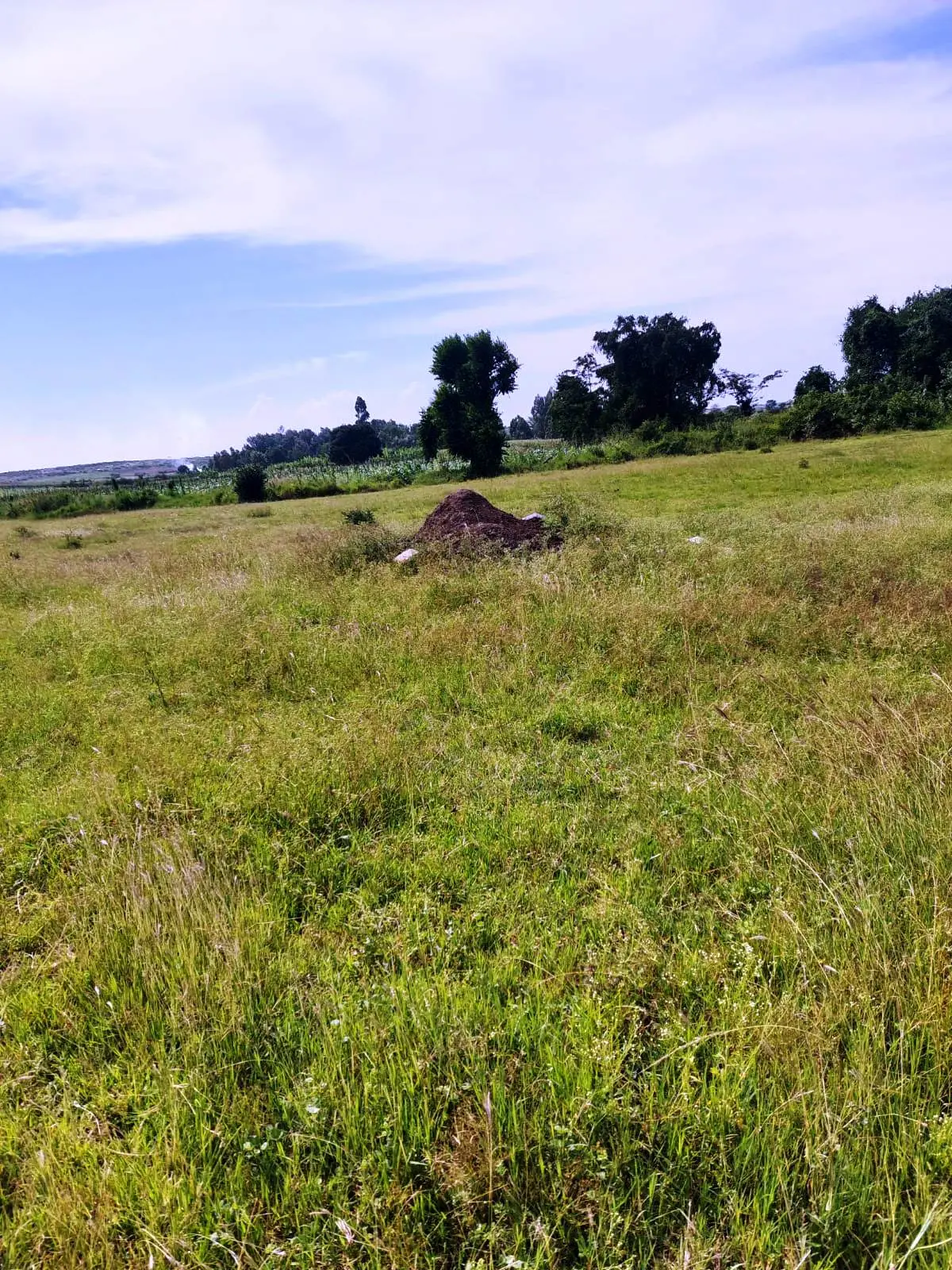 50-Acre Raw Land for Sale in Katani, Ideal for Institutional or Commercial Development