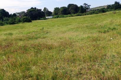 50-Acre Raw Land for Sale in Katani, Ideal for Institutional or Commercial Development