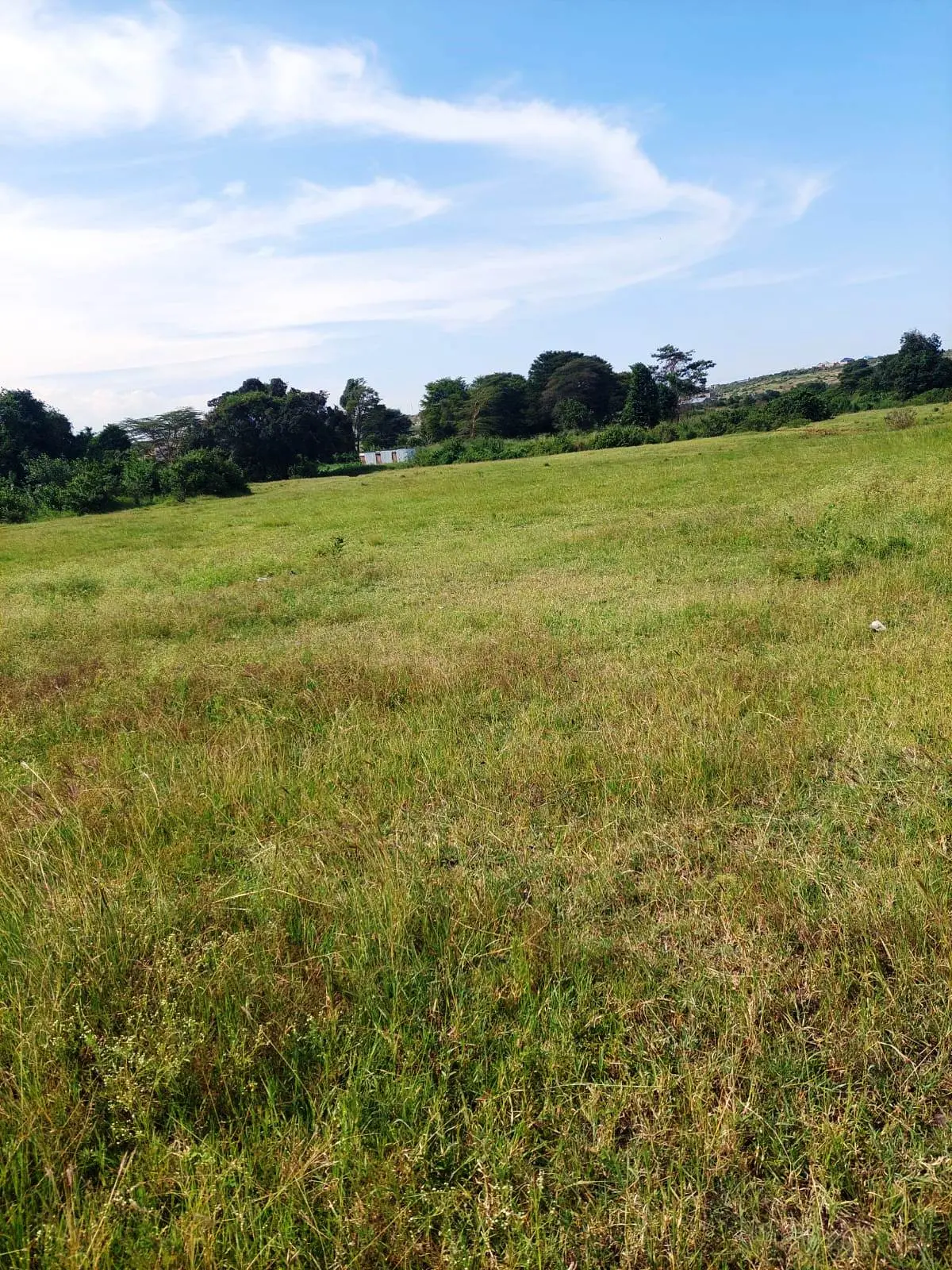 50-Acre Raw Land for Sale in Katani, Ideal for Institutional or Commercial Development