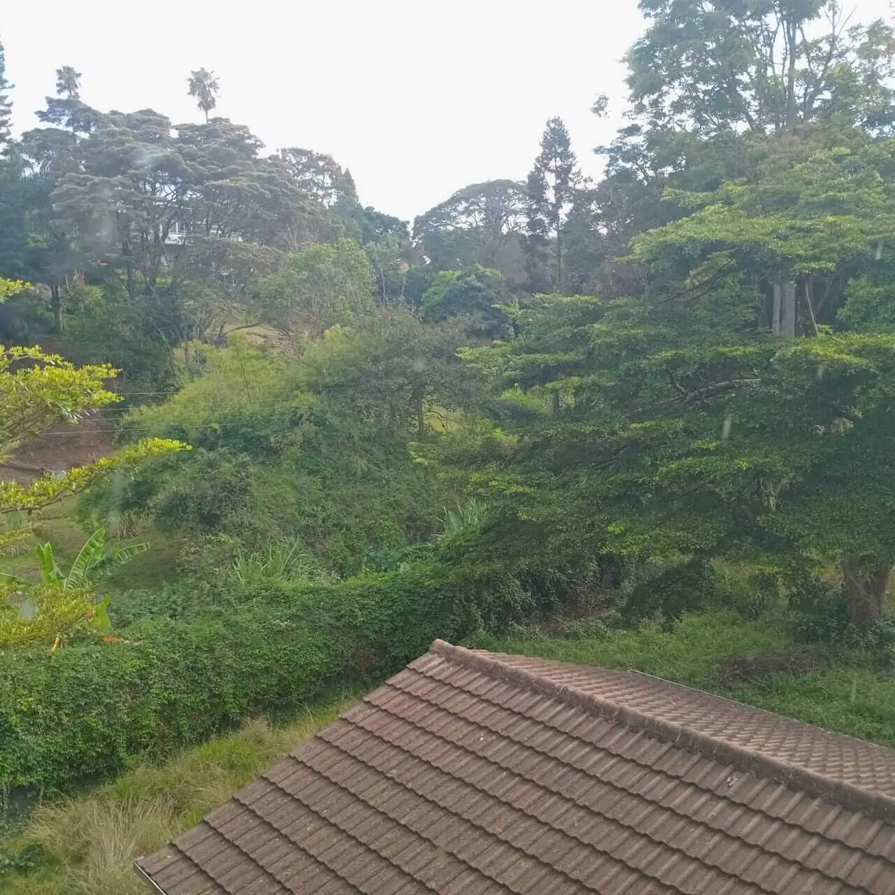 Prime 1.2-Acre Development Plot in Lavington