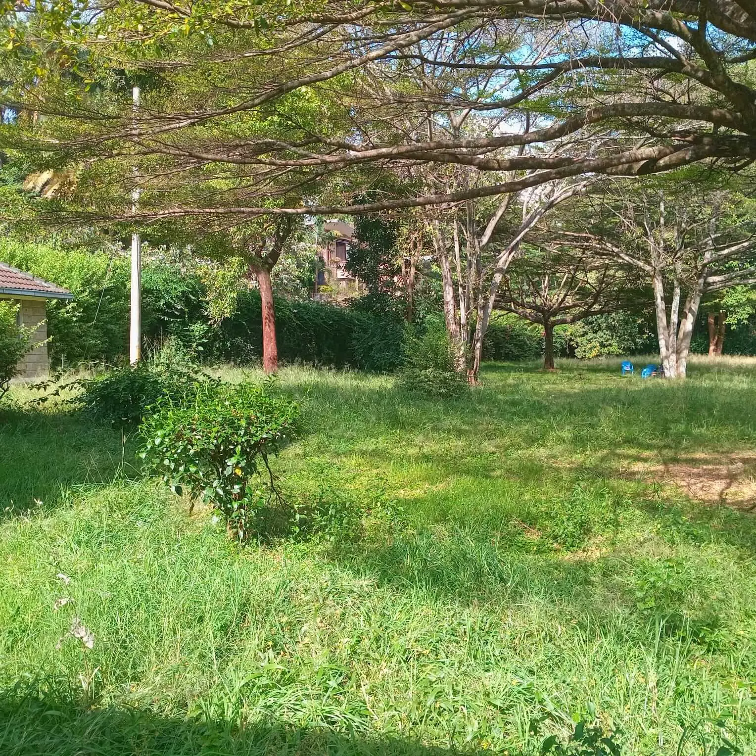 Prime 1.2-Acre Development Plot in Lavington