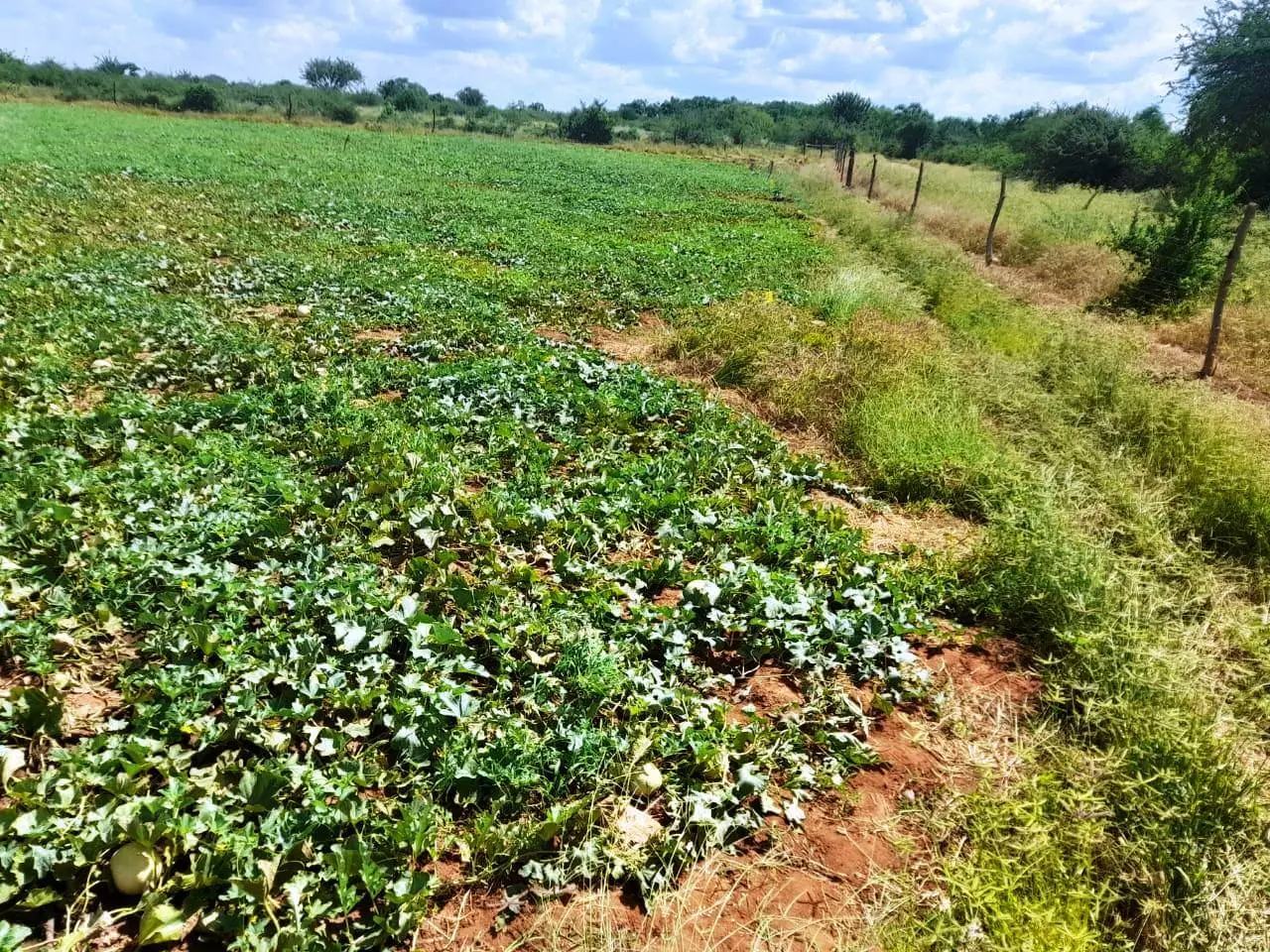 305-Acre Farm with River Frontage in Makueni