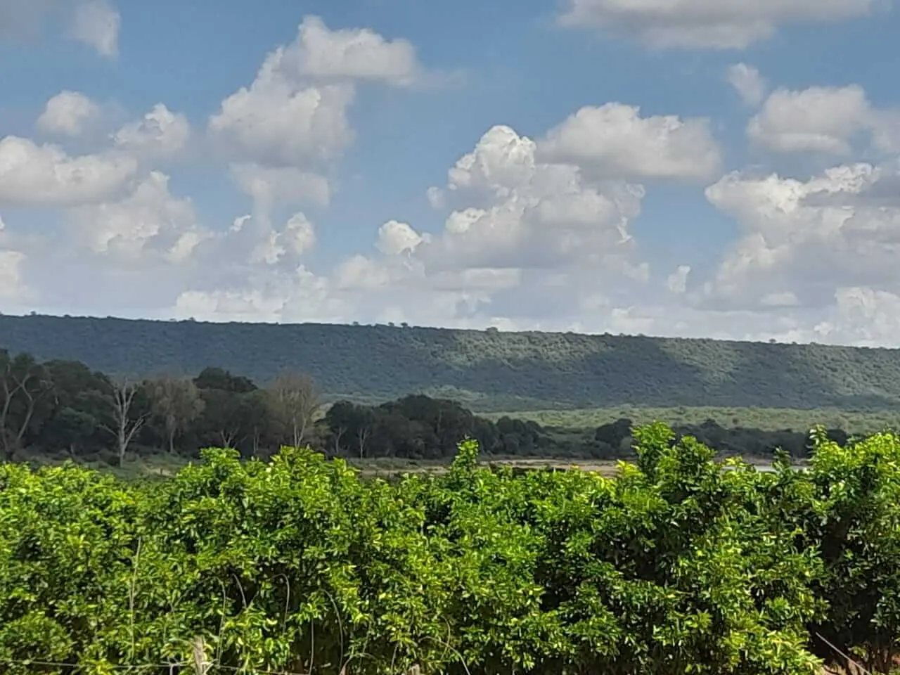 305-Acre Farm with River Frontage in Makueni