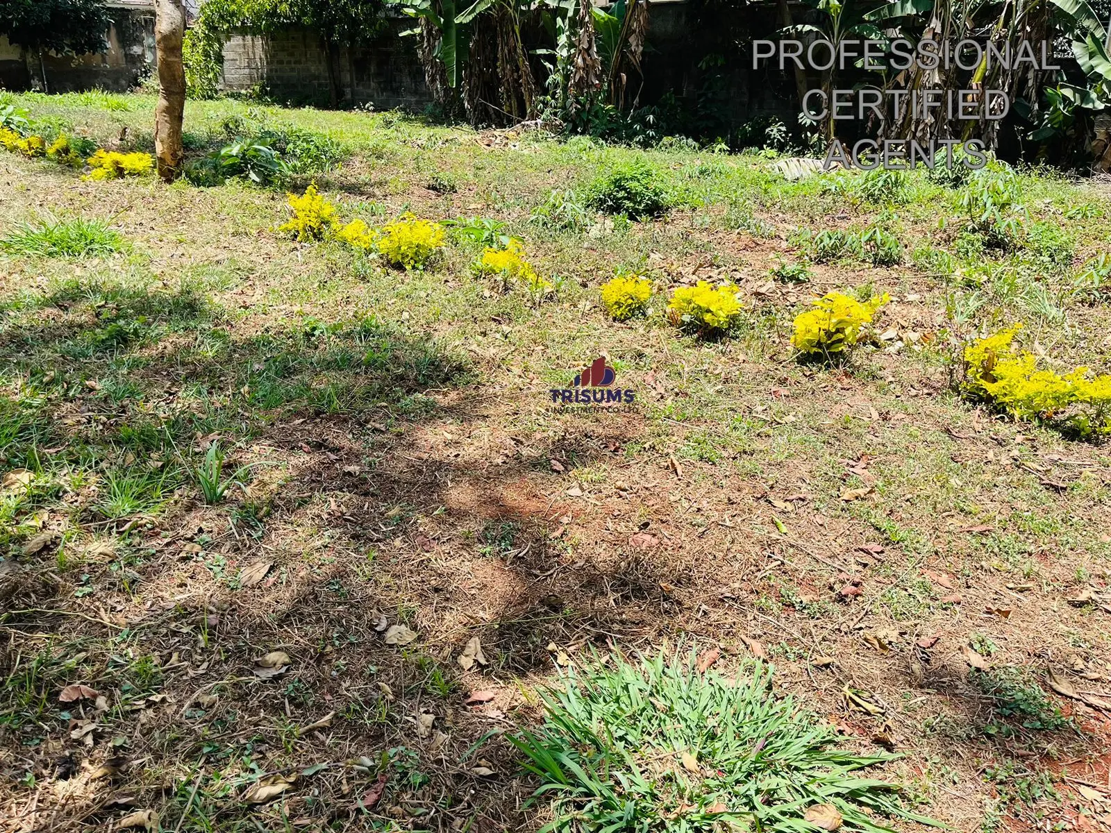 Prime Residential Land for Sale in Lavington