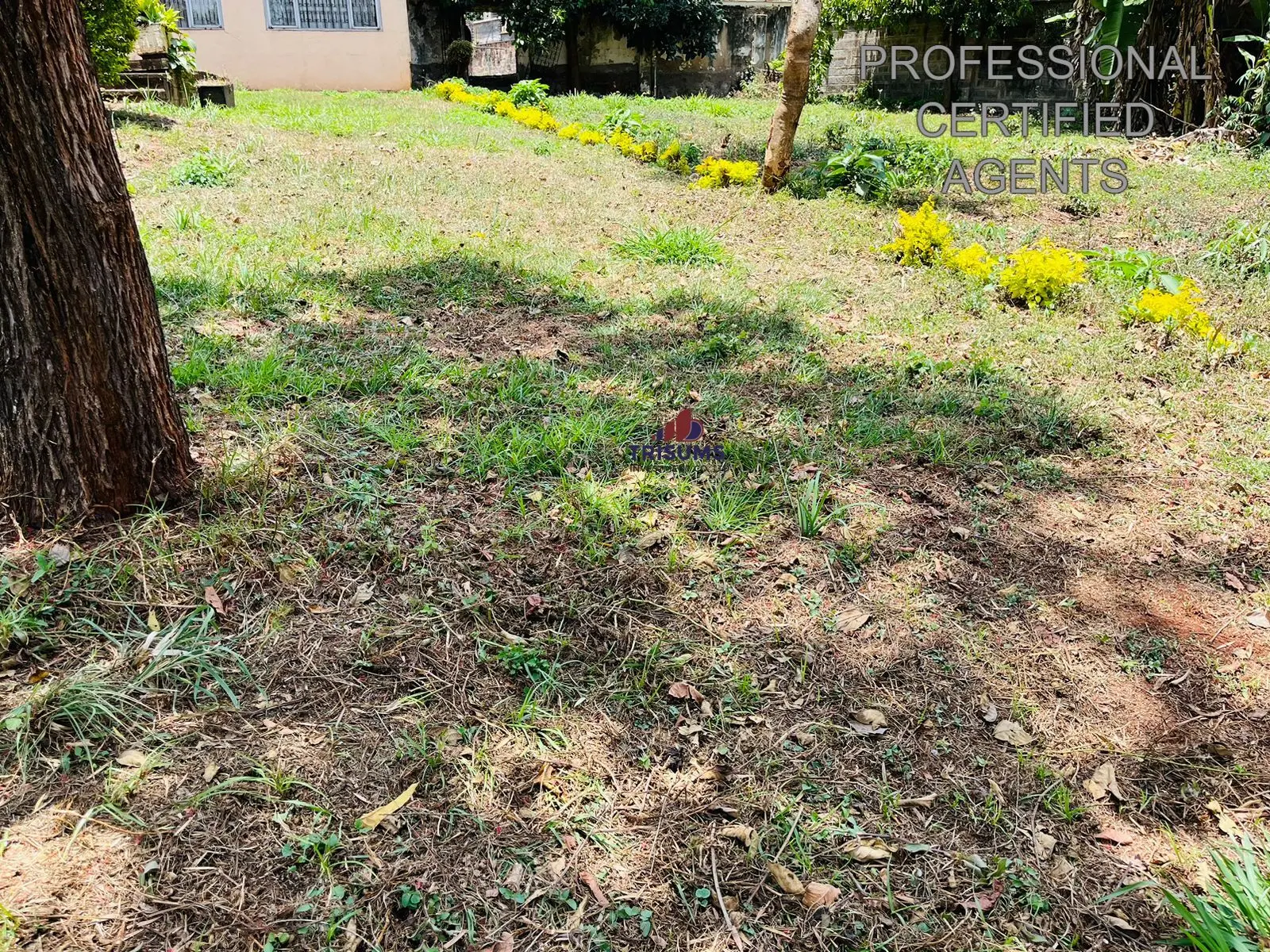 Prime Residential Land for Sale in Lavington