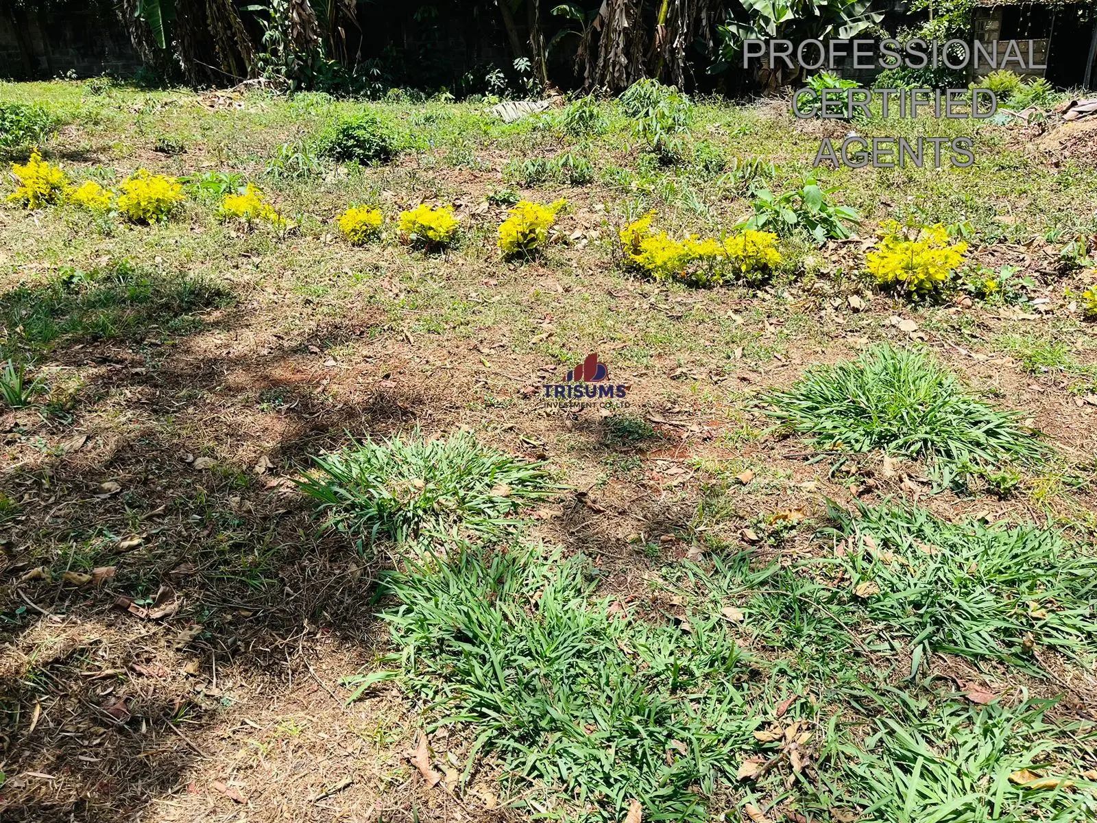 Prime Residential Land for Sale in Lavington